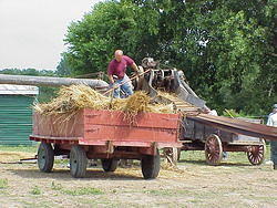 HarvestParty2001 53