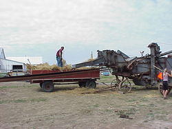 HarvestParty2001 57