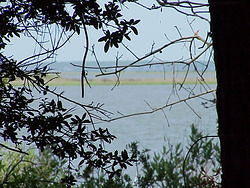 DavisBayouAreaNationalSeashore04