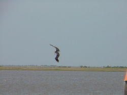 DavisBayouAreaNationalSeashore09