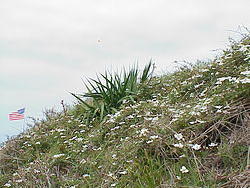ShipIsland43-Fort Massachusetts