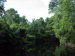 vac2002 023-Homosassa Springs
