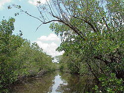 vac2002 069-Everglades City