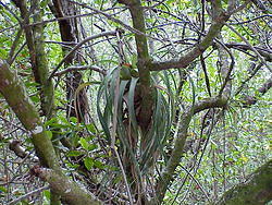 vac2002 070-Everglades City