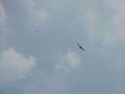 vac2002 074-Everglades City