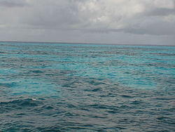 vac2002 080-Glass Bottom Boat