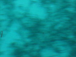 vac2002 081-Glass Bottom Boat