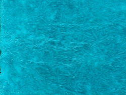 vac2002 083-Glass Bottom Boat