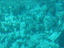 vac2002 090-Glass Bottom Boat