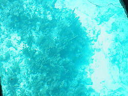 vac2002 091-Glass Bottom Boat