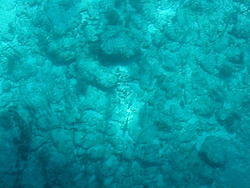 vac2002 092-Glass Bottom Boat