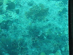 vac2002 093-Glass Bottom Boat