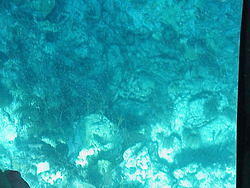 vac2002 095-Glass Bottom Boat