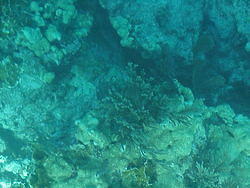 vac2002 097-Glass Bottom Boat