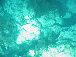 vac2002 098-Glass Bottom Boat