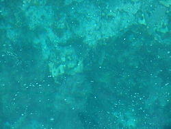 vac2002 099-Glass Bottom Boat