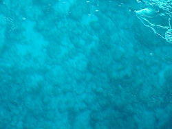 vac2002 105-Glass Bottom Boat