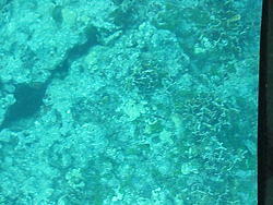 vac2002 108-Glass Bottom Boat