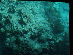 vac2002 117-Glass Bottom Boat