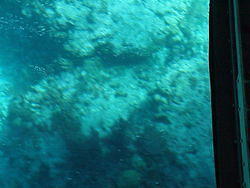 vac2002 118-Glass Bottom Boat