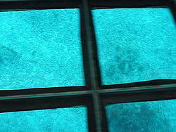 vac2002 120-Glass Bottom Boat