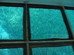vac2002 122-Glass Bottom Boat