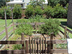 vac2002 149-Sumter County Museum