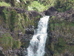 Hawaii2003 015-Akaka Falls