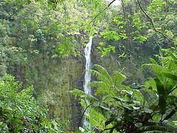Hawaii2003 017-Akaka Falls