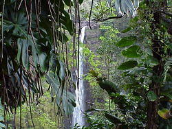 Hawaii2003 019-Akaka Falls