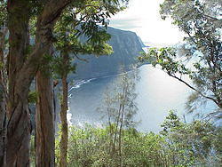 Hawaii2003 034-Waipio Valley
