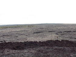 Hawaii2003 047-Kilauea Park