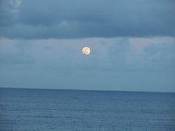 Hawaii2003 079-Kilauea Lava Flows
