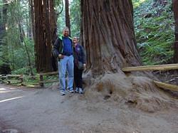 MuirWoods18