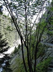 Vernal-NevadaFalls17