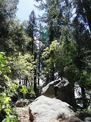 Vernal-NevadaFalls71