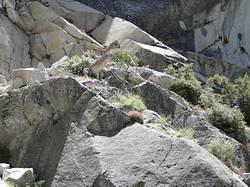 Vernal-NevadaFalls76