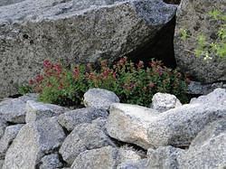 Vernal-NevadaFalls87